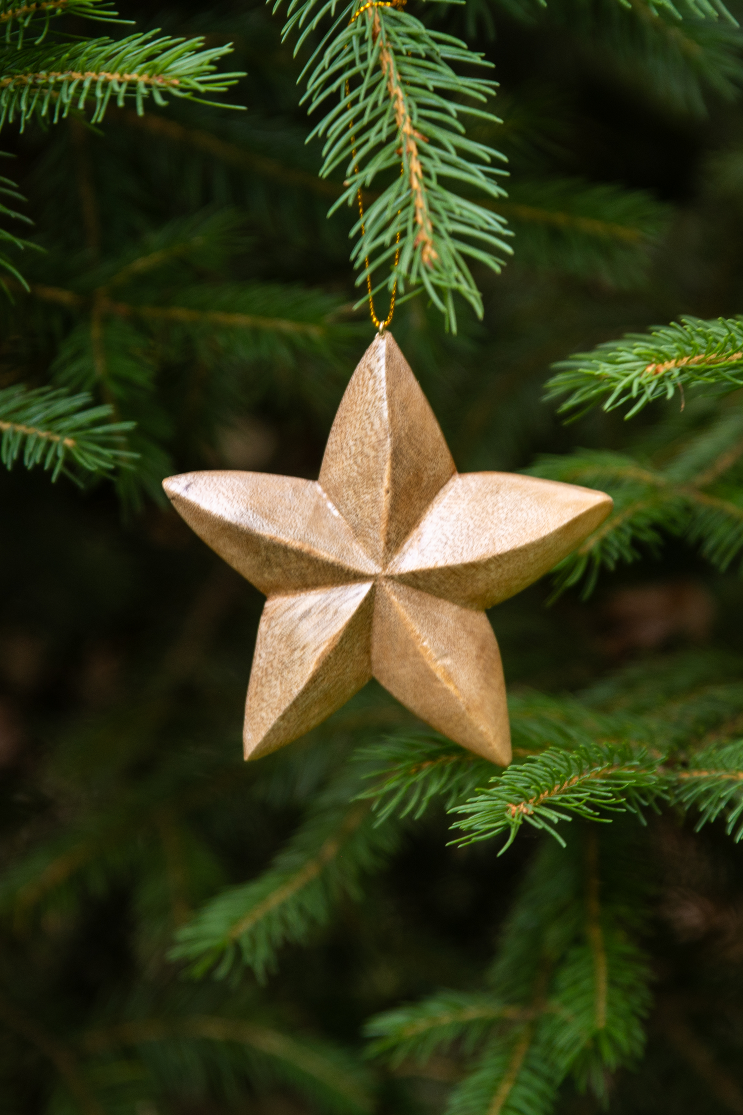 wooden star ornament