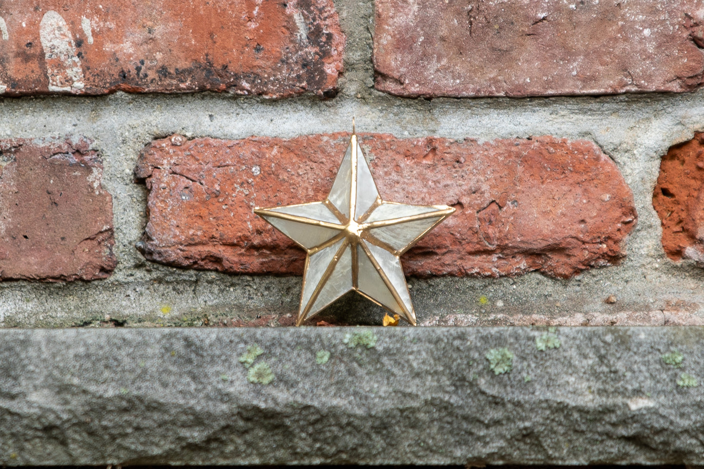 3-D Capiz Shell Star Ornament