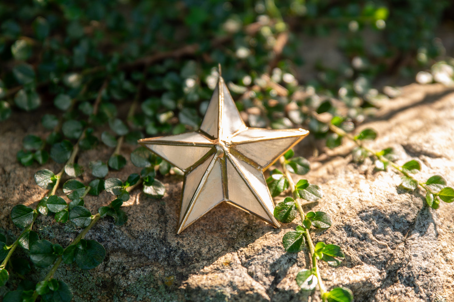 3-D Capiz Shell Star Ornament